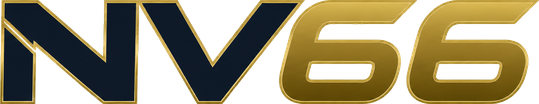 nv66 Logo